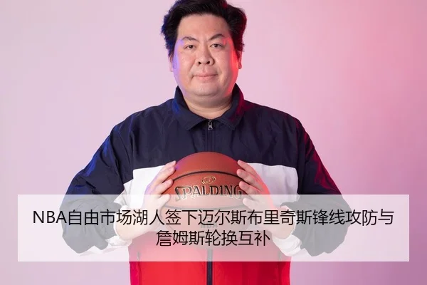 NBA自由市场湖人签下迈尔斯布里奇斯锋线攻防与詹姆斯轮换互补